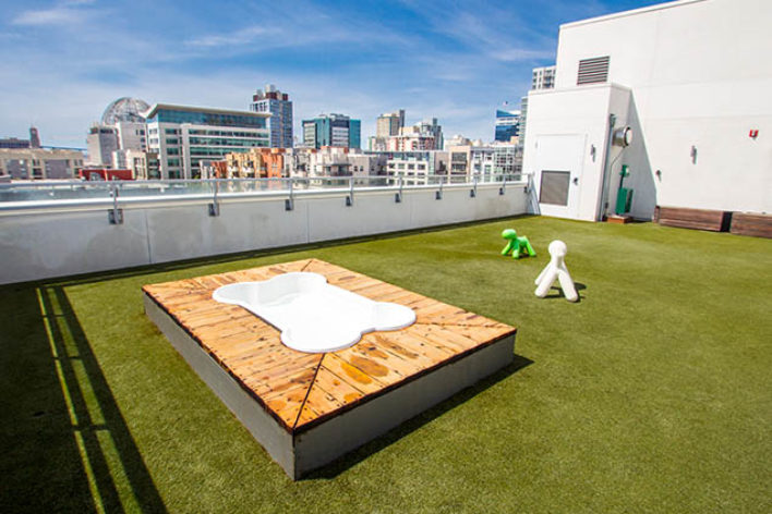 SYNLawn Calgary artificial grass for Roof top applications