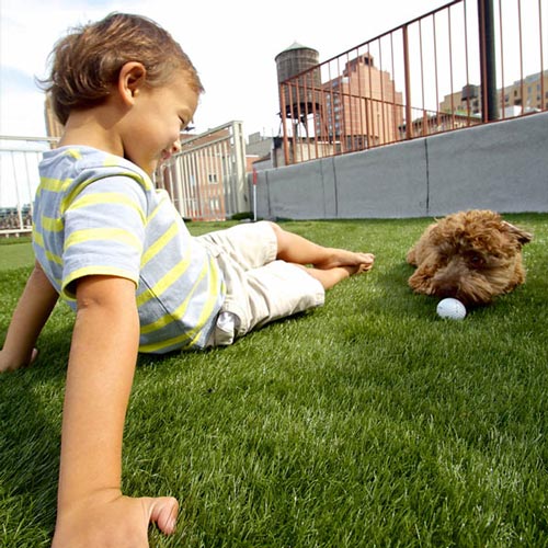 image of small boy and dog playing on synlawn synthetic turf